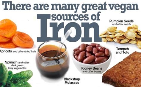 Iron Rich Foods To Help Fight Anemia Vegetarian Style Hubpages