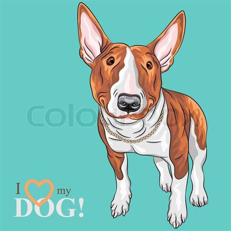 Vektor Lächelnd Cartoon Bull Terrier Stock Vektor Colourbox