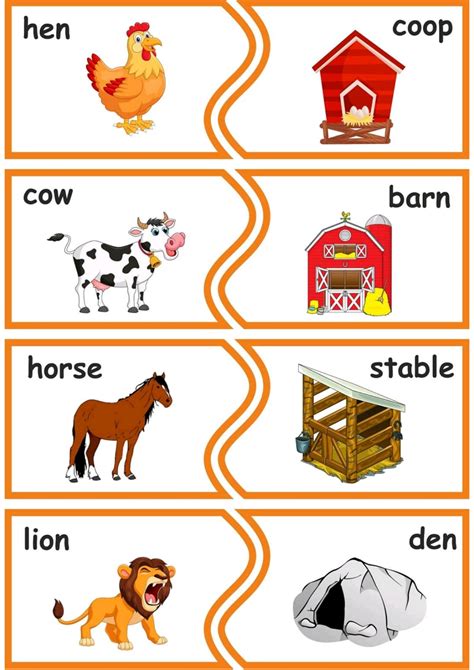 Animals And Their Homes English Created Resources