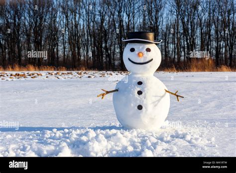 Funny Snowman In Black Hat Stock Photo Alamy