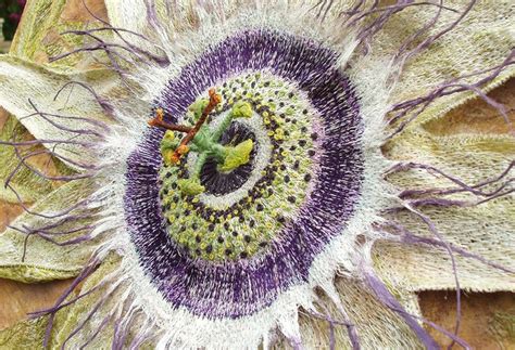 Corinne Young Passion Flower Textile Sculpture Textile Art