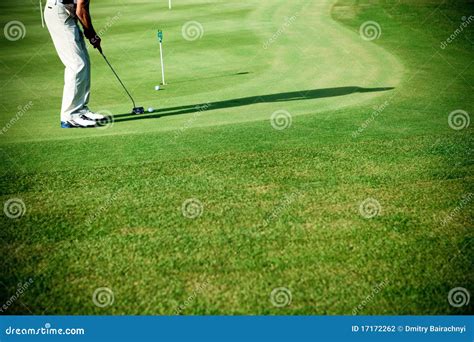Gras Golf Stock Foto Image Of Gras Mens Golf Mensen 17172262
