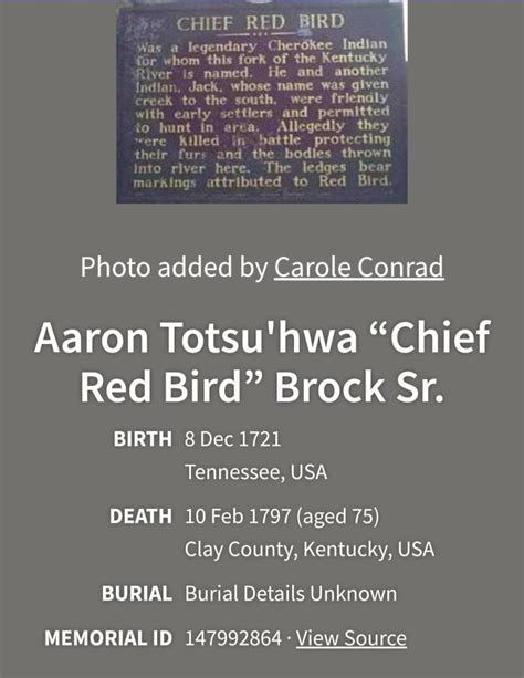 Chief Red Bird Aaron Cutsawa Tsalagi Ugvwiyuhi Totsuhwa Brock Dna 4th