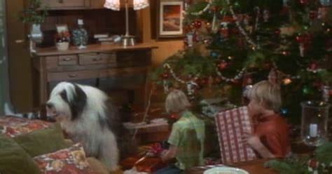 Can You Name These Tv Shows By Their Christmas Trees