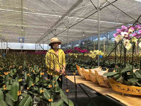 Old Hollywood couples with controversial age gaps