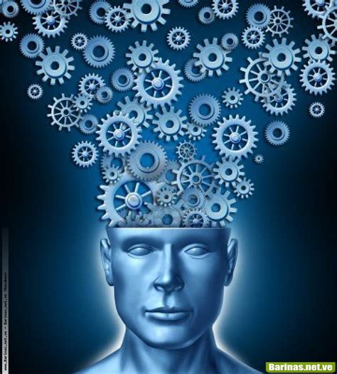 Desarrollo del Pensamiento y la Inteligencia Humana: El pensamiento Humano