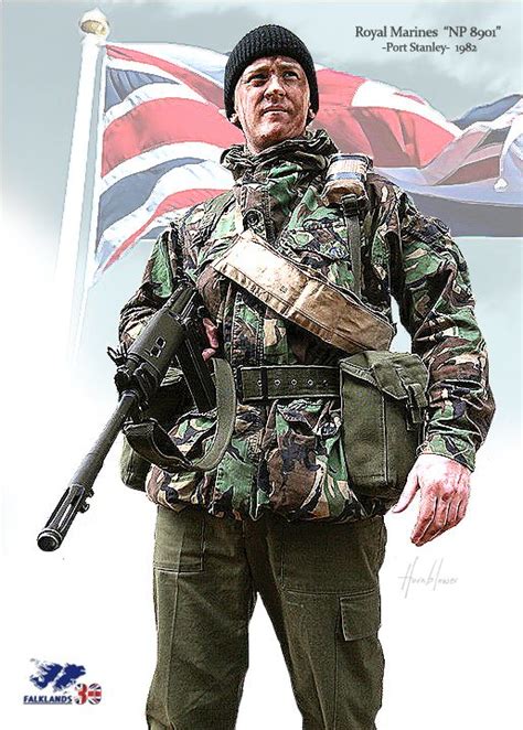 The 25 Best Falklands War Ideas On Pinterest British