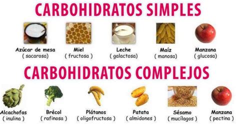 ¿qué Son Los Carbohidratos Salud180