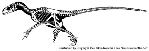 Image Skeletal Jurassic Park Wiki Fandom Powered By Wikia