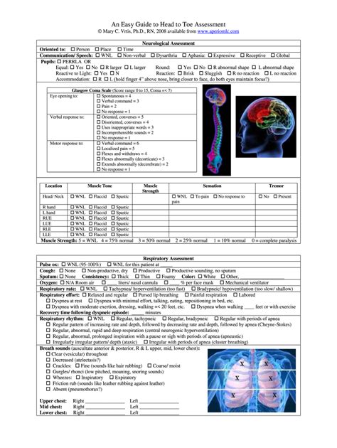 Free Printable Head To Toe Assessment Form Pdf Fill Out And Sign Online