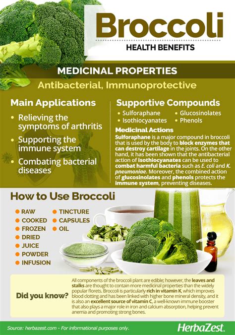 18 Broccoli Infographics Health Benefits And How To Prepare