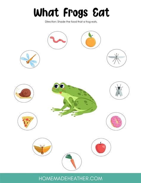 Frog Printable Activity Sheets Homemade Heather