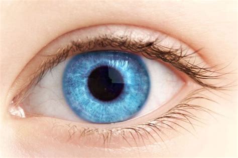 Otra Ventaja De Tener Ojos Azules Bienestar Buenavida El PaÍs