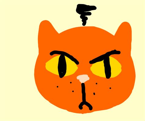 Angry Cat Drawception