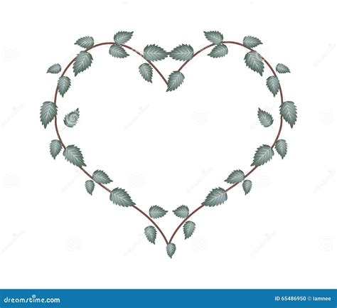 Green Vine Leaves In A Beautiful Heart Shape Stock Vector Image 65486950