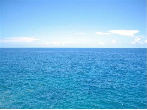 More images for how far is orlando from the ocean » Laser Hair Removal For Men In Orlando | Chest Hair Removal ...