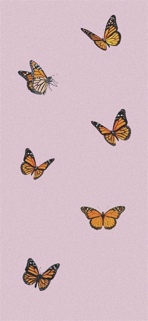 Butterflies Iphone Wallpapers Top Free Butterflies Iphone Backgrounds
