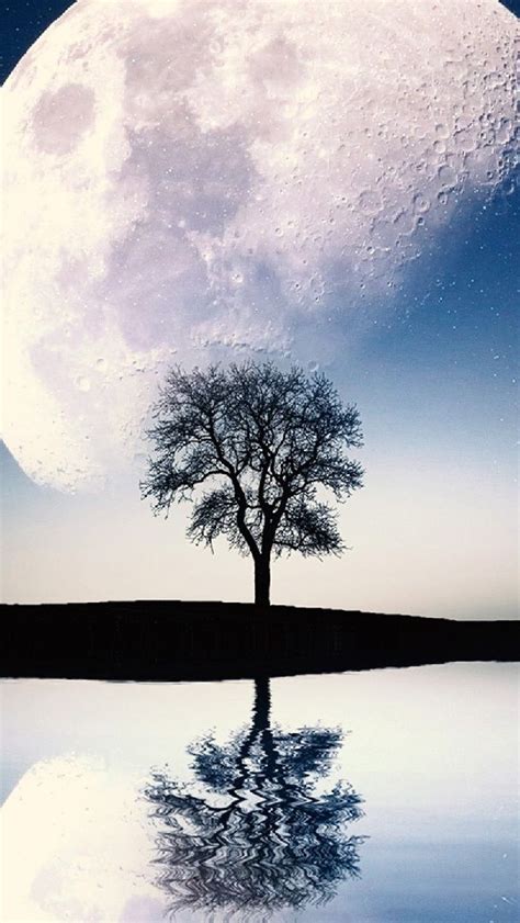 Solitary Tree And Moon 🌕 Wallpaper Backiee