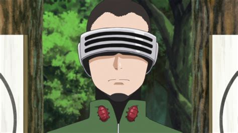 Shino Aburame Naruto Wiki Fandom