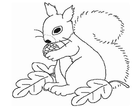 67 Dessins De Coloriage écureuil à Imprimer Sur Page 5