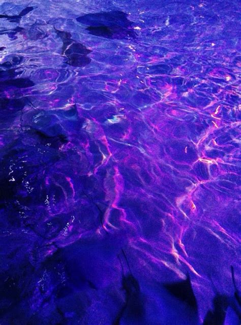 Pin By Chloe Naylor On Glow Purple Dark Purple Aesthetic Purple