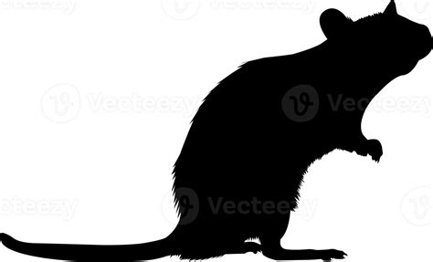 Wild Rat Animal Silhouette 27154610 Png