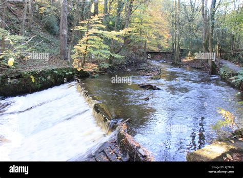 Rivelin Valley Sheffield Stock Photo Alamy