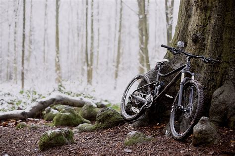 A Mountain Bike Leaning Against A Tree In A Snowy Forest Del