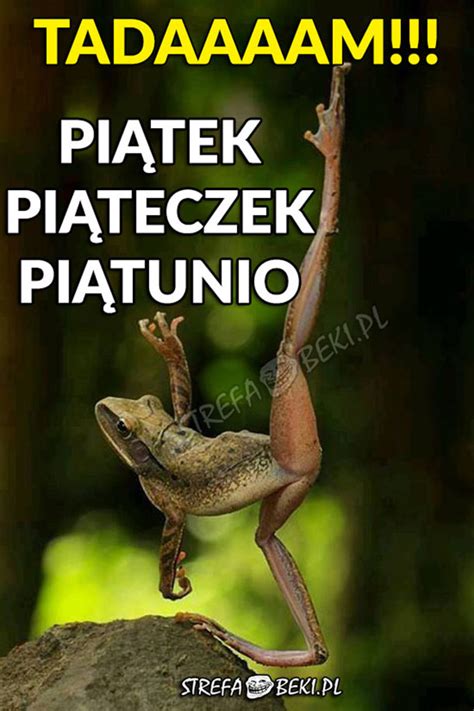 Download the converted gif file by click on the download gif button. Już Święta? - megahumor24h.pl