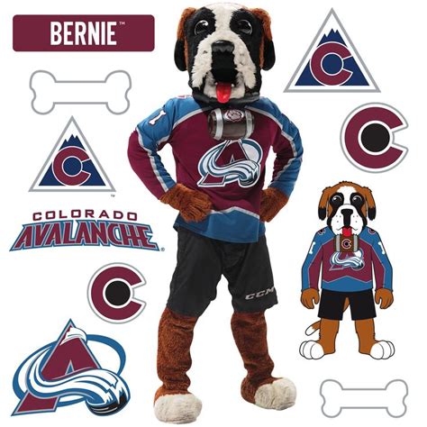 Colorado Avalanche Bernie 2021 Mascot Officially Licensed Nhl Remov