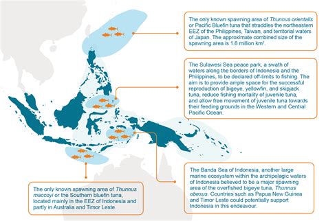 Tuna In The Coral Triangle A Blueprint For Renewal Wwf