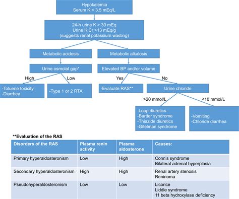 A Case Of Severe Hypokalemia American Journal Of Kidney Diseases