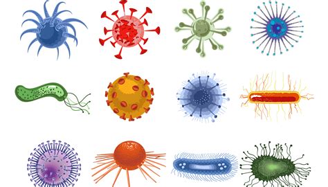 Bactéria E Vírus São Micro-organismos Como é Possível Diferenciá-los