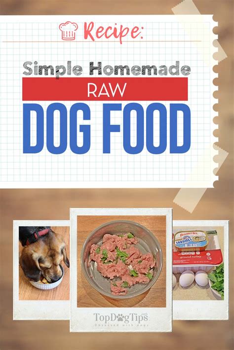 Try these homemade raw dog food (barf) recipes. Homemade Raw Dog Food Recipe - Quick and Easy incl. Video