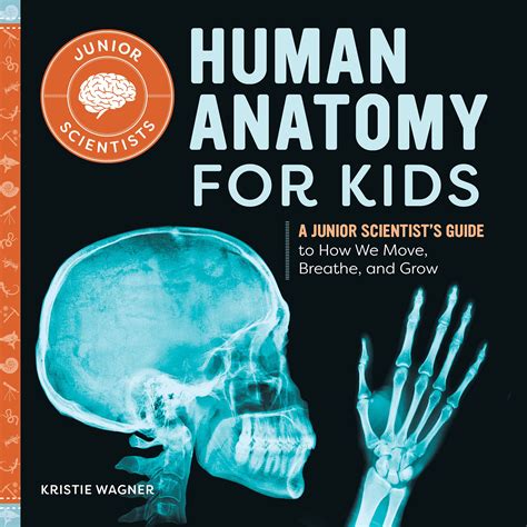 Human Anatomy For Kids A Junior Scientists Guide To How We Move