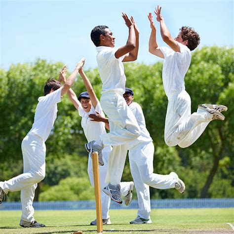 2500 Cricket Celebration Stock Photos Pictures And Royalty Free Images