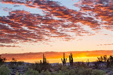 Colorful Sonoran Desert Sunrise Photograph By James Bo Insogna Pixels