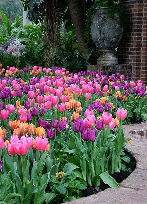 25 Beauty Tulips Arrangement Tips For Your Home Garden Spring Garden