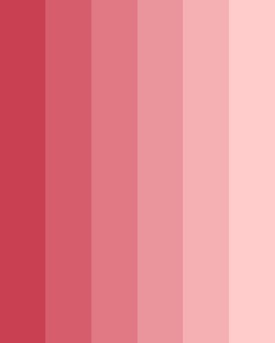 Flirty Red Monochromatic Color Palette Pink Monochromatic Color