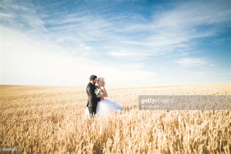Beautiful Wedding Couple Bride And Groom Posing On Wheat Field With Groom Pose Prewedding