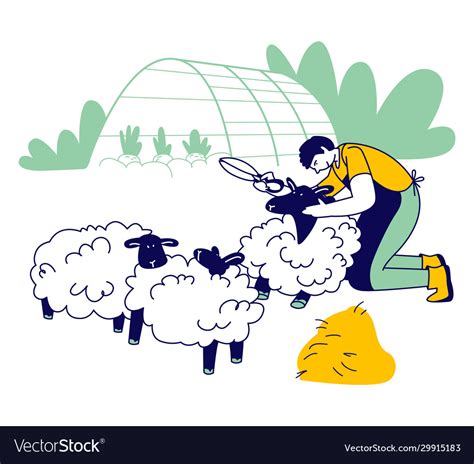 Man Farmer Shearing Sheep For Wool Sheepshearer Vector Image