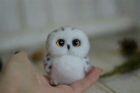Cute Owl Милые детеныши животных Детеныши животных Совята