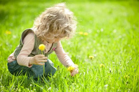 Child Touching Spring Flower Stock Photo Image Of Earth Outside