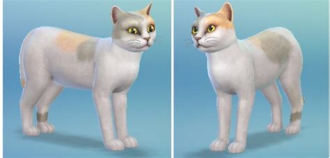 Sims 4 Kitties Neko Atsume™️ Amino