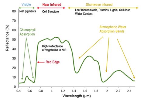 The Spectral Reflectance Curve Of Vegetation The Major Absorption And