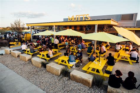 Dog Friendly Bar Mutts Canine Cantina Comes To Austin