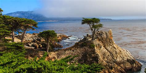 Monterey Lone Cypress Photograph By Richard Balison