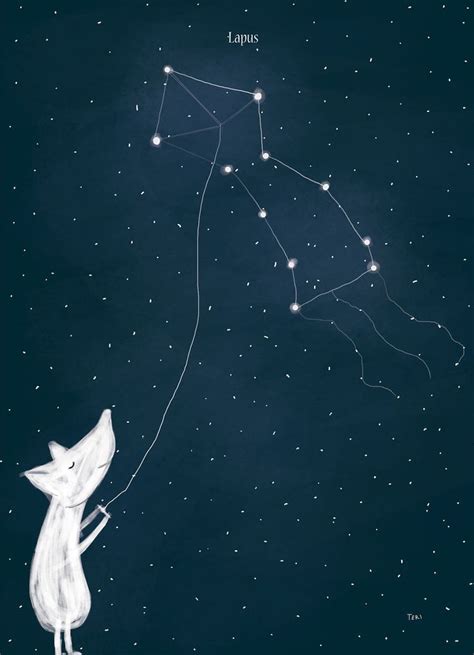 Im Obsessed With The Night Sky So I Illustrated Arctic Constellations