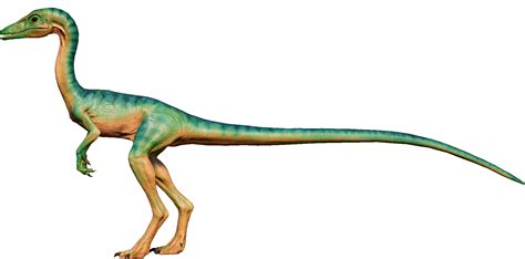 Compsognathus Jurassic Park Ecology Wiki Fandom