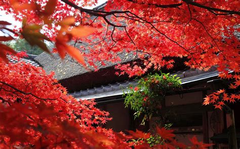 Tons of awesome japan wallpapers to download for free. Japanese Garden Desktop Wallpapers - Wallpaper Cave